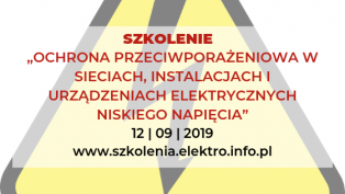 Ochrona przeciwporażeniowa w sieciach, instalacjach i urządzeniach elektrycznych niskiego napięcia - zagadnienia wybrane